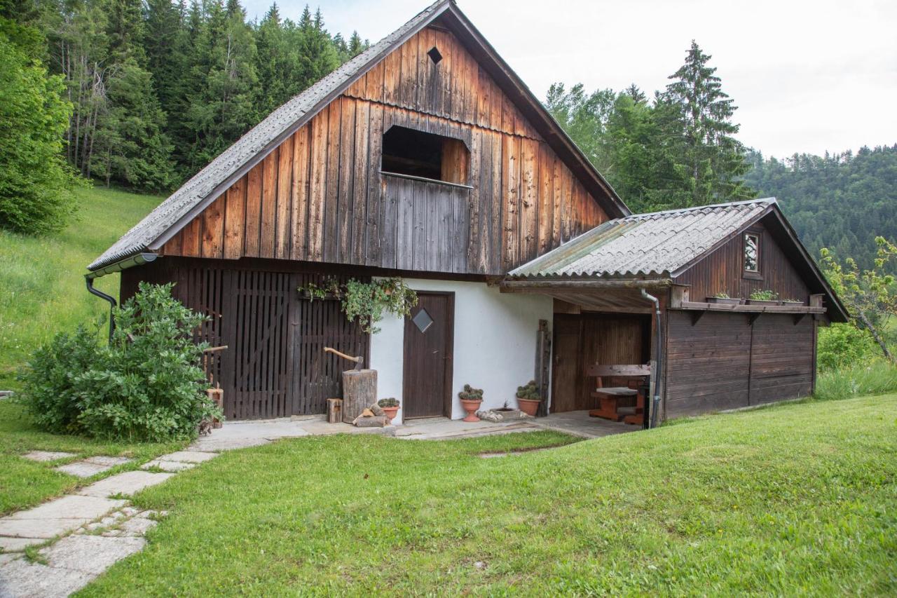 Pocitniska Hisa Pri Goricarju Villa Bohinjska Bistrica Exterior photo